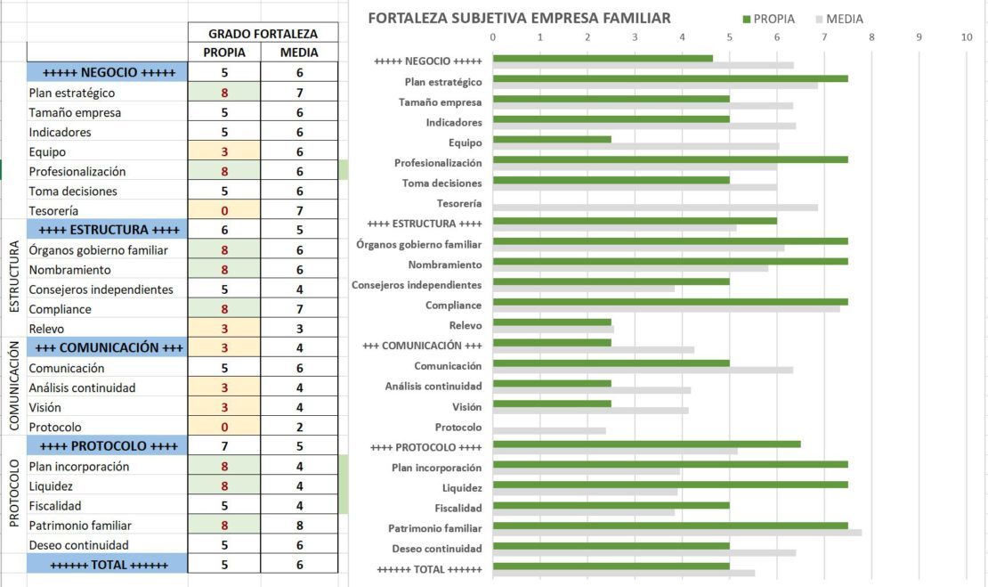 Diagnóstico De Empresa Familiar Business Family Coach - 